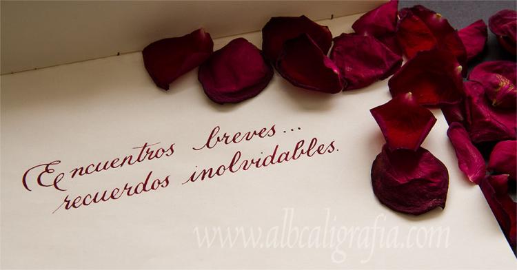 Calligraphic text with rose petals Brief encounters unforgettable memories