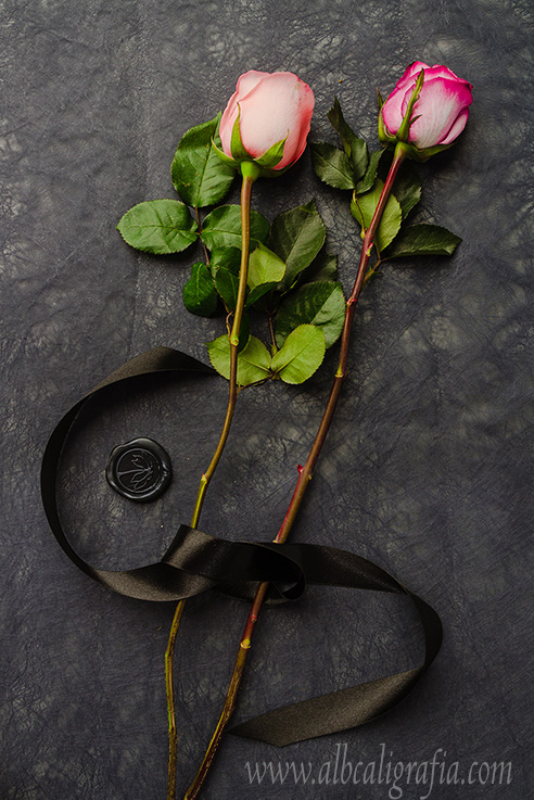 A pair of pink roses joined with a ribbon and a black sealing wax medallion