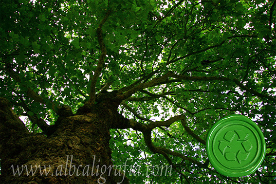 Tree with biodegradable wax medallion