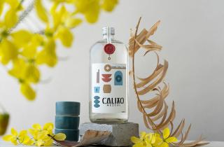 Mezcal bottle with a coral sealing wax sticker with the logo of Calixo Mezcal