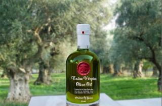 Bottle of olive oil decorated with a red sealing wax sticker in a country landscape with olive trees in the background